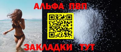 гашик Кингисепп