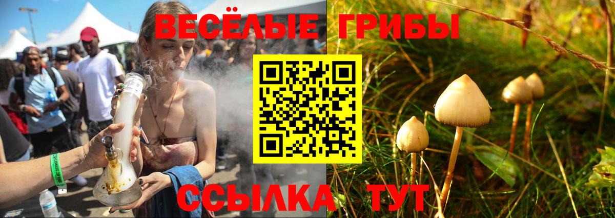 Крымск  Псилоцибиновые грибы Psilocybine cubensis  Вход с VPN 